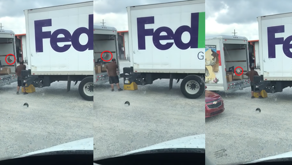 Service with a Spiral: Fed Up FedEx Employee Flings Parcels Into Truck - Sputnik International