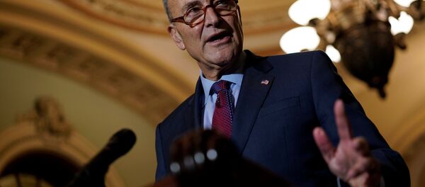 Senate Minority Leader Chuck Schumer speaks with reporters following the weekly policy luncheons on Capitol Hill in Washington, U.S., October 2, 2018 Senate Minority Leader Chuck Schumer speaks with reporters following the weekly policy luncheons on Capitol Hill in Washington, U.S., October 2, 2018 - Sputnik International