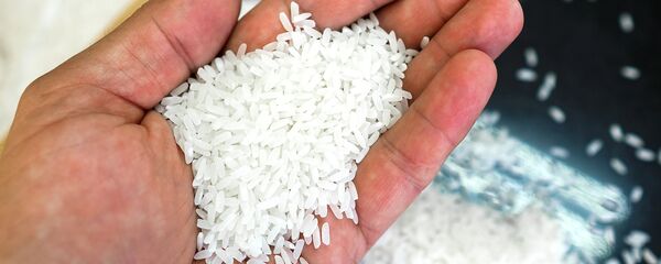 Rice Rice - Sputnik International