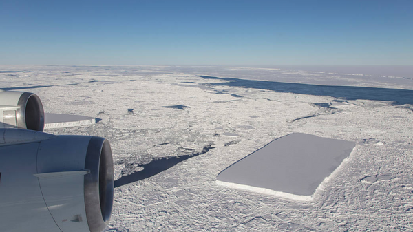 NASA releases image of second rectangular iceberg spotted by Operation IceBridge earlier this month - Sputnik International
