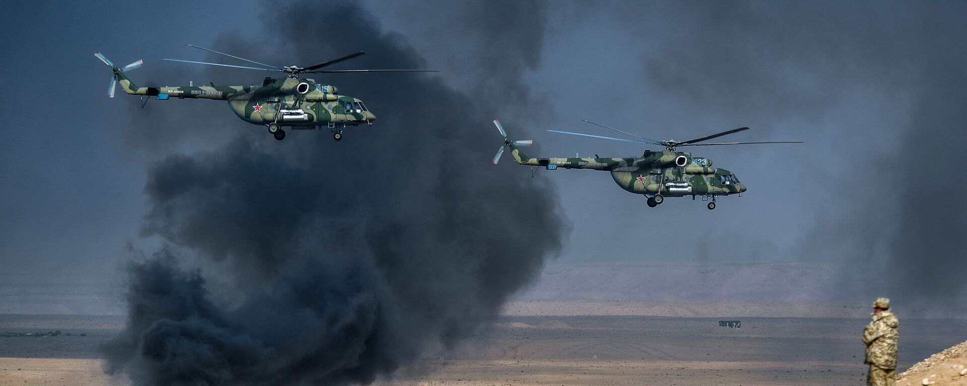 Flying the Friendly Skies: Russia Celebrates Army Aviation Day - Sputnik International, 1920, 08.11.2019