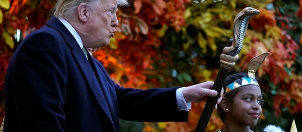 U.S. President Donald Trump waves the staff of a child dressed as a pharaoh as he hands out Halloween candy to trick-or-treaters at the White House in Washington, U.S., October 28, 2018 - Sputnik International