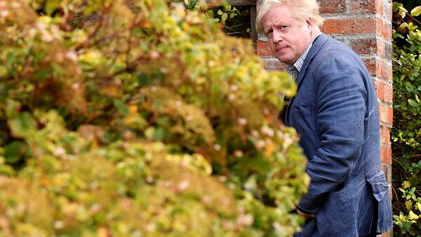 Conservative MP Boris Johnson walks through his garden at his home near Oxford, Britain, October 3, 2018. - Sputnik International