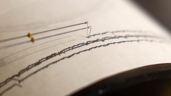 A working seismograph - Sputnik International