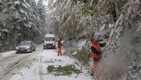 Workers cut trees to avoid branches falling on the road during snowfall in the commune on Ceyssat, in the Auvergne region, central France, on October 29, 2018 - Sputnik International