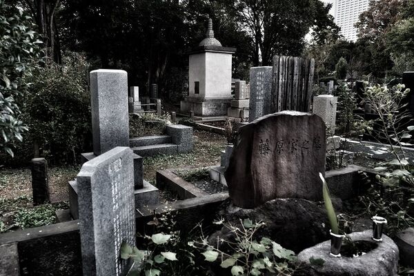 Tokyo's Top Five Eerie Places (PHOTOS) Tokyo's Top Five Eerie Places (PHOTOS) - Sputnik International