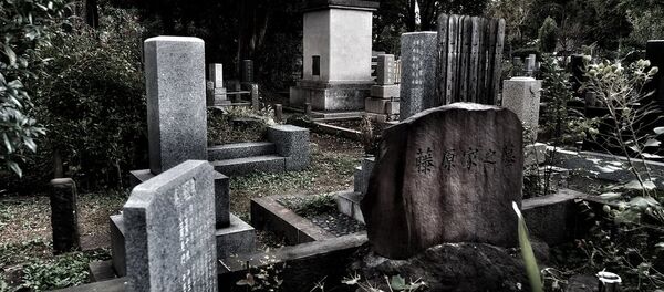 Cemetery Cemetery - Sputnik International