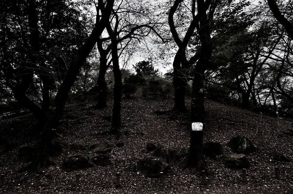 Tokyo's Top Five Eerie Places (PHOTOS) Tokyo's Top Five Eerie Places (PHOTOS) - Sputnik International