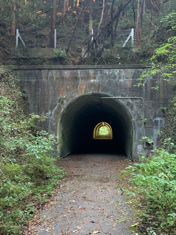 Tokyo's Top Five Eerie Places (PHOTOS) Tokyo's Top Five Eerie Places (PHOTOS) - Sputnik International
