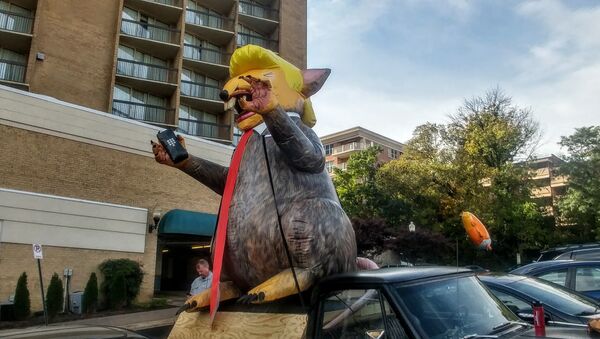 An inflatable figure of a rat made to look like President Donald Trump was left outside a press conference highlighting sexual abuse accusations against special counsel Robert Mueller. - Sputnik International