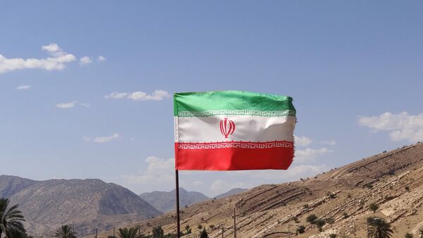 Iranian Flag over Archaeological Site - Bishapur - Sputnik International