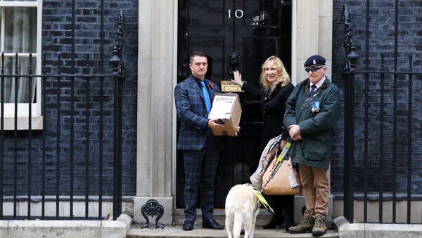 Stephen Yaxley-Lennon, who goes by the name Tommy Robinson, poses outside 10 Downing Street with MEP Janice Atkinson as he hands in a petition on behalf of a serving soldier who was disciplined for posing for a selfie with him, in London, Britain, November 6, 2018. - Sputnik International