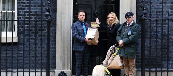 Stephen Yaxley-Lennon, who goes by the name Tommy Robinson, poses outside 10 Downing Street with MEP Janice Atkinson as he hands in a petition on behalf of a serving soldier who was disciplined for posing for a selfie with him, in London, Britain, November 6, 2018. Stephen Yaxley-Lennon, who goes by the name Tommy Robinson, poses outside 10 Downing Street with MEP Janice Atkinson as he hands in a petition on behalf of a serving soldier who was disciplined for posing for a selfie with him, in London, Britain, November 6, 2018. - Sputnik International