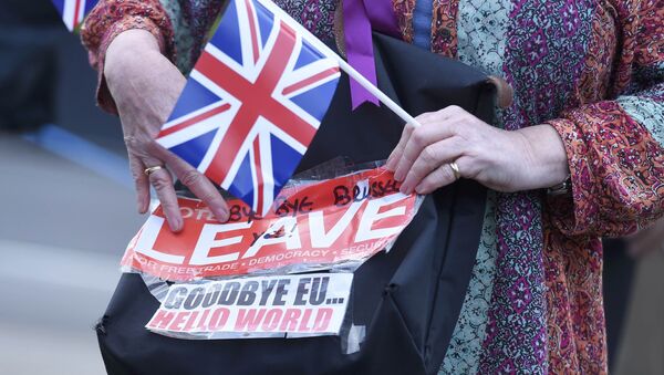 A vote leave supporter holds a poster in Westminster, London, Britain June 24, 2016. - Sputnik International