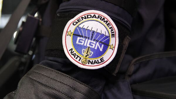 A badge of the GIGN (National Gendarmes Intervention Group) an elite French force - Sputnik International