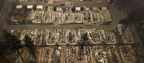 Residences were leveled by the wildfire in Paradise, Calif., on Thursday, Nov. 15, 2018. The California Department of Forestry and Fire Protection said Thursday the wildfire that destroyed the town of Paradise is now 40 percent contained, up from 30 percent Wednesday morning. Residences were leveled by the wildfire in Paradise, Calif., on Thursday, Nov. 15, 2018. The California Department of Forestry and Fire Protection said Thursday the wildfire that destroyed the town of Paradise is now 40 percent contained, up from 30 percent Wednesday morning. - Sputnik International