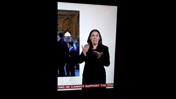 The sign language interpreter doing the Brexit Agreement on BBC News - Sputnik International