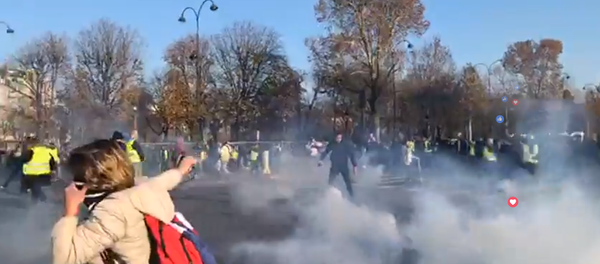 'Yellow vest' proteststers blocked Champs-Élysées avenue in Paris 'Yellow vest' proteststers blocked Champs-Élysées avenue in Paris - Sputnik International
