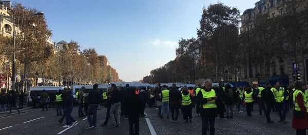 'Yellow vest' proteststers blocked Champs-Élysées avenue in Paris 'Yellow vest' proteststers blocked Champs-Élysées avenue in Paris - Sputnik International