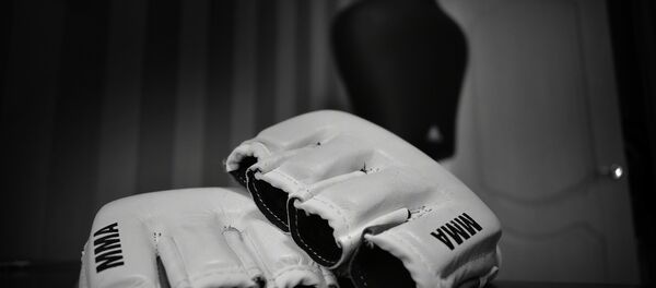 MMA gloves - Sputnik International