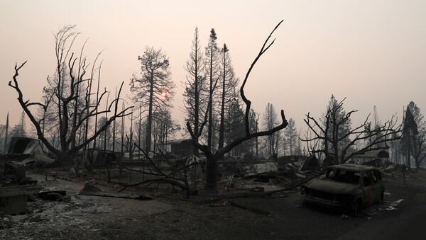 A neighborhood destroyed by the Camp Fire is seen in Paradise, California - Sputnik International