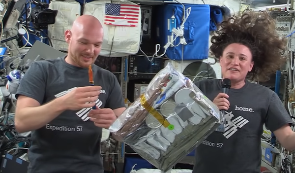 NASA to Fly ‘Phantom Women' Around Moon in 2020 to Prepare for Artemis Mission NASA to Fly ‘Phantom Women' Around Moon in 2020 to Prepare for Artemis Mission - Sputnik International