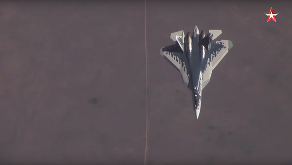 Su-57 freefall. - Sputnik International