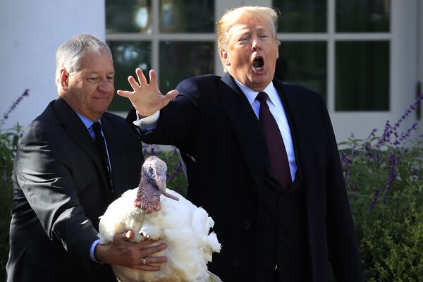President Donald Trump pardons Peas a National Thanksgiving Turkey, during a ceremony in the Rose Garden of the White House, in Washington - Sputnik International