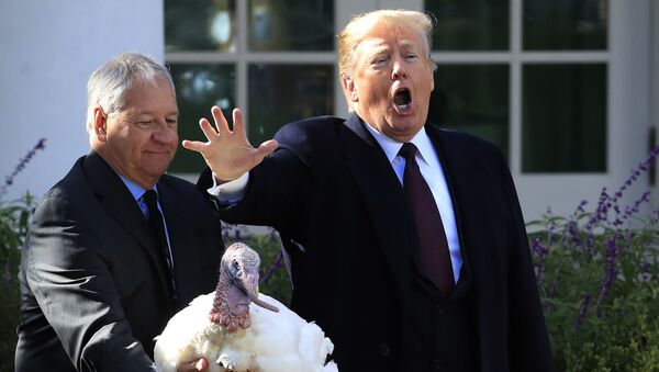 President Donald Trump gives Peas a National Thanksgiving Turkey, a pardon during a ceremony in the Rose Garden of the White House, in Washington, Tuesday, Nov. 20, 2018, as Jeff Sveen, chairman of the National Turkey Federation, watches.  - Sputnik International