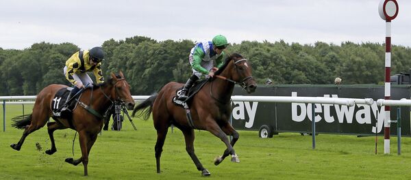 Pennsylvania Dutch ridden by Ben Curtis wins The Betway Sprint Handicap Stakes at Haydock Racecourse, Britain, Saturday, June 10, 2017 Pennsylvania Dutch ridden by Ben Curtis wins The Betway Sprint Handicap Stakes at Haydock Racecourse, Britain, Saturday, June 10, 2017 - Sputnik International