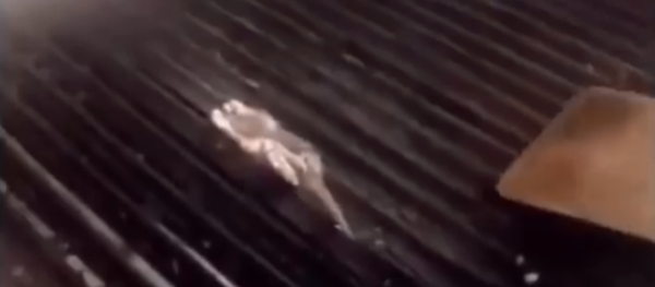 Hawaii-based Teddy's Bigger Burger restaurant shuts down location after former employee grills rat - Sputnik International