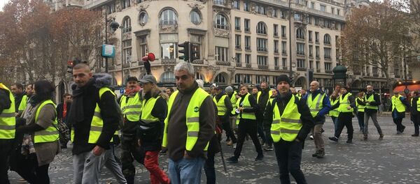 Yellow Vests protests against rising fuel prices began in France - Sputnik International
