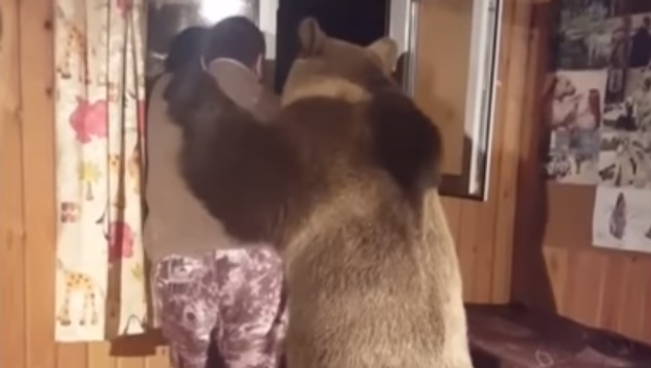 A Bear Hugs a Man - Sputnik International