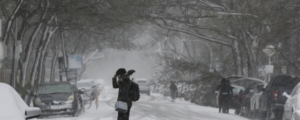 MIDWEST SNOWSTORM CHICAGO MIDWEST SNOWSTORM CHICAGO - Sputnik International