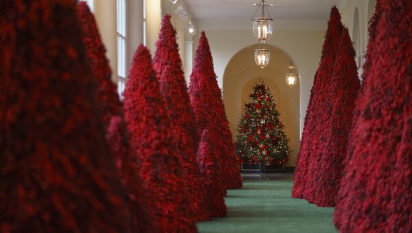 Topiary trees line the East colonnade during the 2018 Christmas Press Preview at the White House in Washington, Monday, Nov. 26, 2018. Christmas has arrived at the White House. - Sputnik International