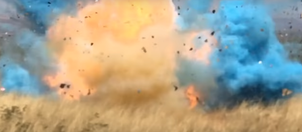 US Forest Service release footage showing the moment in which the Sawmill fire was sparked at a gender reveal party for expectant parents - Sputnik International