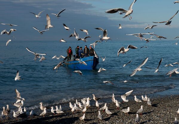 Fishermen return after fishing in the Black Sea, Sochi - Sputnik International