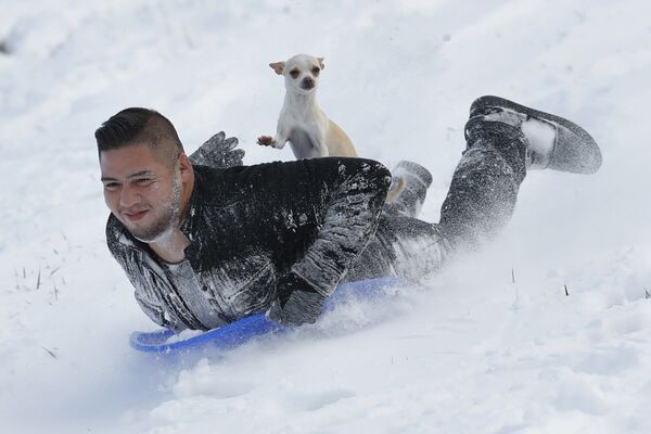 Jonny Mendoza and his dog Subi go sledding in Kansas, USA - Sputnik International