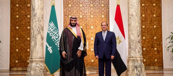 Saudi Arabia's Crown Prince Mohammed bin Salman stands next to Egyptian President Abdel Fattah al-Sisi at the Presidential Palace in Cairo, Egypt November 27, 2018 - Sputnik International