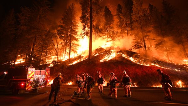 Firefighters try to control a back burn as the Carr fire continues to spread towards the towns of Douglas City and Lewiston near Redding, California on July 31, 2018 - Sputnik International