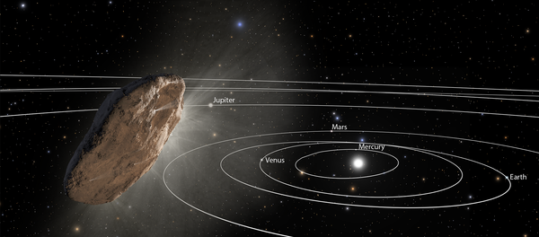 This illustration shows ‘Oumuamua racing toward the outskirts of our solar system. As the complex rotation of the object makes it difficult to determine the exact shape, there are many models of what it could look like. This illustration shows ‘Oumuamua racing toward the outskirts of our solar system. As the complex rotation of the object makes it difficult to determine the exact shape, there are many models of what it could look like. - Sputnik International