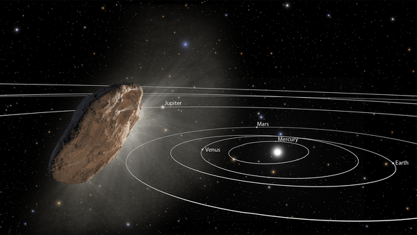 This illustration shows ‘Oumuamua racing toward the outskirts of our solar system. As the complex rotation of the object makes it difficult to determine the exact shape, there are many models of what it could look like. - Sputnik International