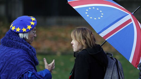 Anti-Brexit supporters talk as they protest opposite the House of Parliament in London, Tuesday, Nov. 27, 2018 - Sputnik International