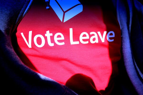 Vote Leave's AI Firm Sweeps Seven UK Gov’t Contracts Amid Conflict of Interest Scandal Vote Leave's AI Firm Sweeps Seven UK Gov’t Contracts Amid Conflict of Interest Scandal - Sputnik International