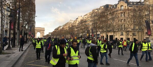 'Yellow Vests' Protesters 'Yellow Vests' Protesters - Sputnik International