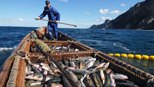 Fishermen are Trying to Catch Salmon Near the Okhotsk Sea Embankment in Kunashir Island - Sputnik International