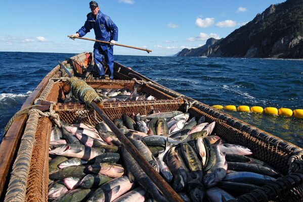 Fishermen Trying to Catch Salmon Near the Okhotsk Sea Embankment on Kunashir Island. - Sputnik International