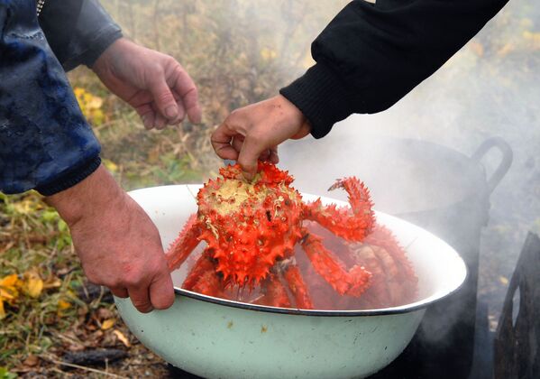 Shikotan Island Residents are Cooking Crabs - Sputnik International