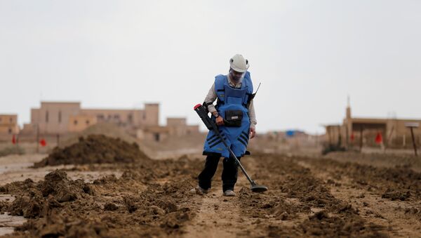 A man holds a device to detect mines in an area recently cleared of mines and unexploded ordnance in a project to clear the area near Qasr Al-Yahud, a traditional baptism site along the Jordan River, near Jericho in the occupied West Bank, December 9, 2018 - Sputnik International