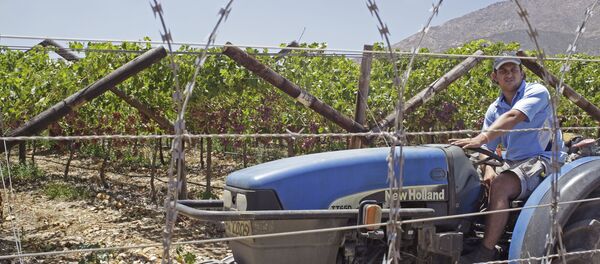 A unidentified farmer looks at burning grass lands that was set alight next to his farm near the town of De Doorns, South Africa, Jan 11, 2013 - Sputnik International